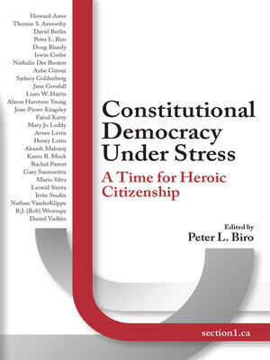 cover image of Constitutional Democracy Under Stress